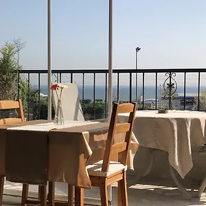 Antik Sofia Istambul